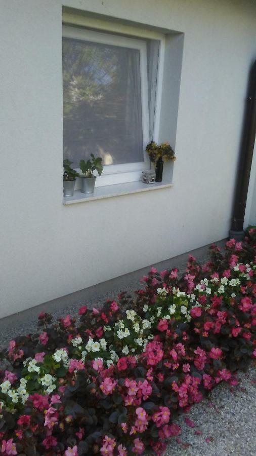 Apartment Kucica Kutcitsa - Small House With Free Parking Zagreb